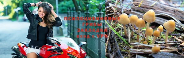марихуана Алзамай