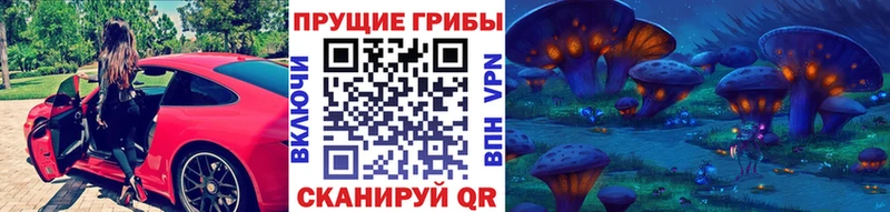 Псилоцибиновые грибы Psilocybine cubensis  Анжеро-Судженск 
